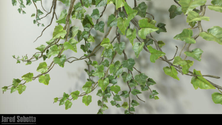 Vegetation Art Mentorship - Image 8