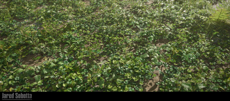 Vegetation Art Mentorship - Image 4