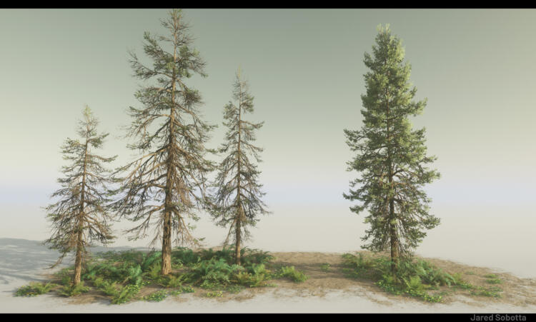 Vegetation Art Mentorship - Image 2